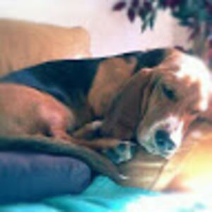 Meet your Posher, Trisha